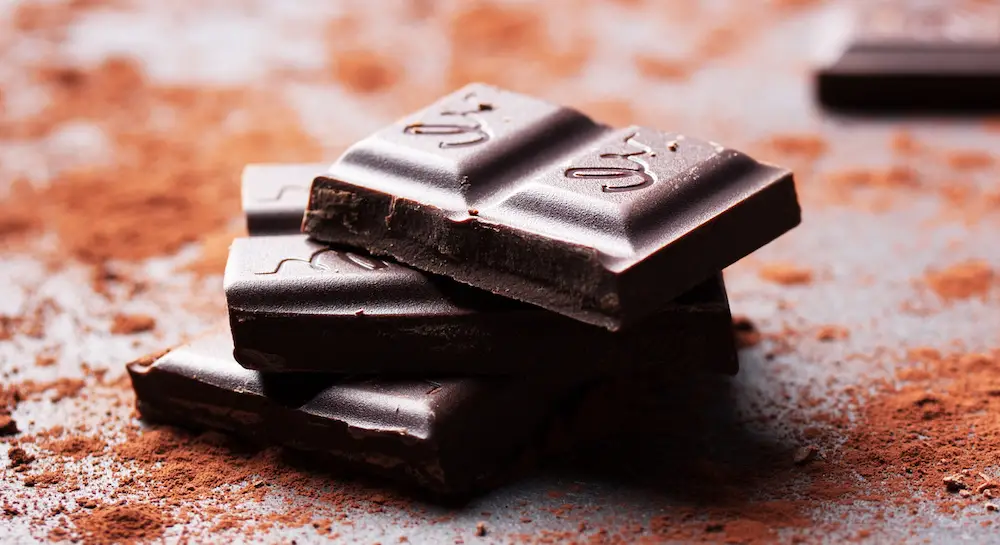 Why Does Dark Chocolate Tastes So Bad?