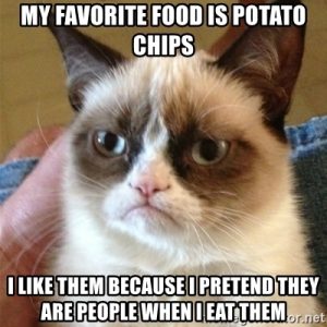 Why My Cat Likes Chips