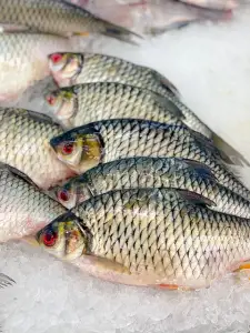 Is Raw Tilapia Safe to Eat