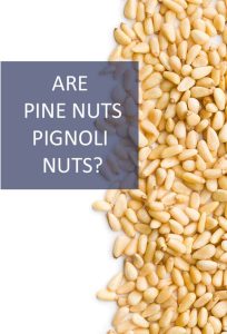 ARE-PINE-NUTS-PIGNOLI-NUTS-698×1024-1