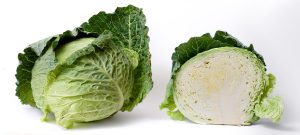 Cabbage_and_cross_section_on_white