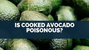 Is-Cooked-Avocado-Poisonous
