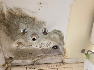 mold-in-home