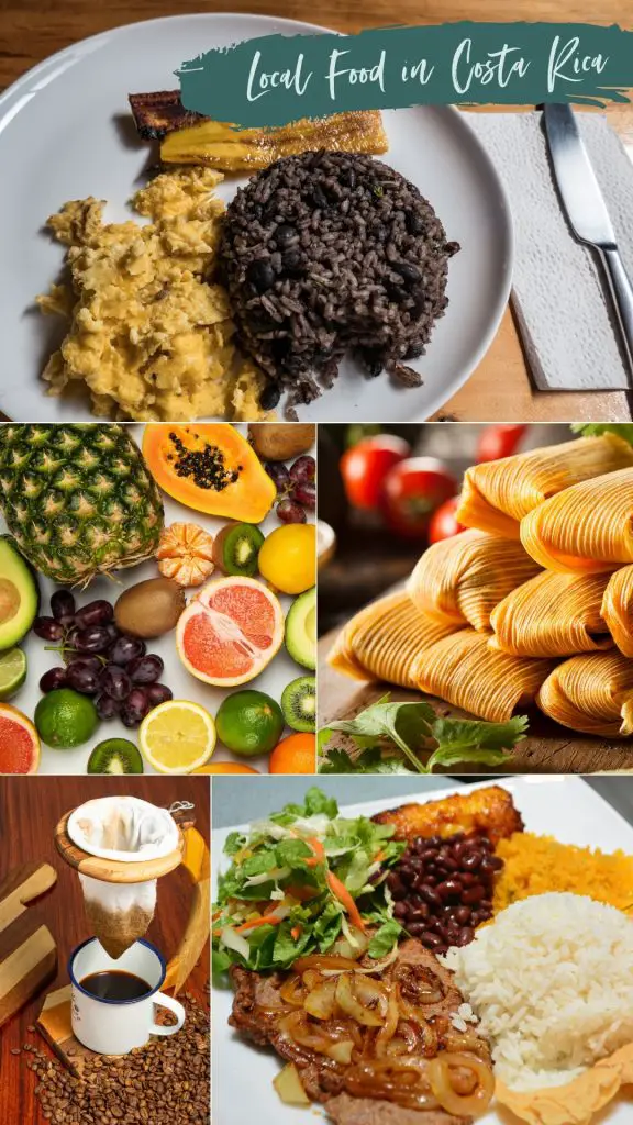 Can You Bring Food Into Costa Rica Vending Business Machine Pro Service