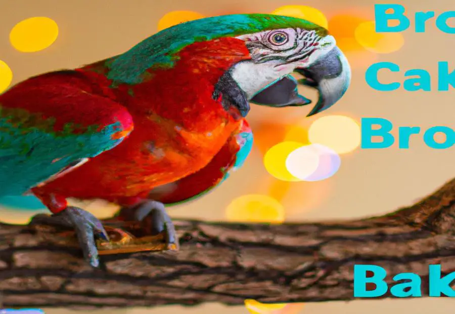 Do cookies kill parrots in real life Vending Business Machine Pro Service