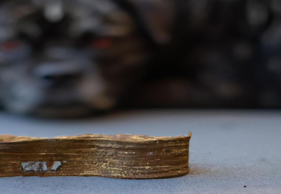 My dog ate steel wool Vending Business Machine Pro Service