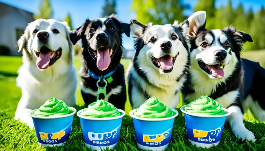 Pup Cups at Dutch Bros? Find Out Here!